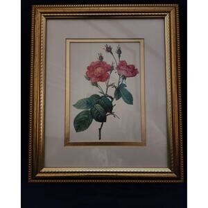 Vintage Pink Rose Floral Lithograph Print In Gold Wooden Frame, Double Matted
